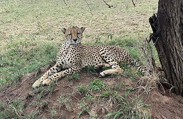 The Surfing Man Will Blow Your Mind