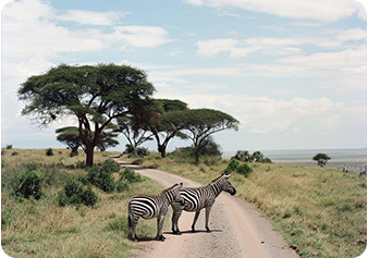 All Inclusive Ultimate Circle Island Day with Lunch